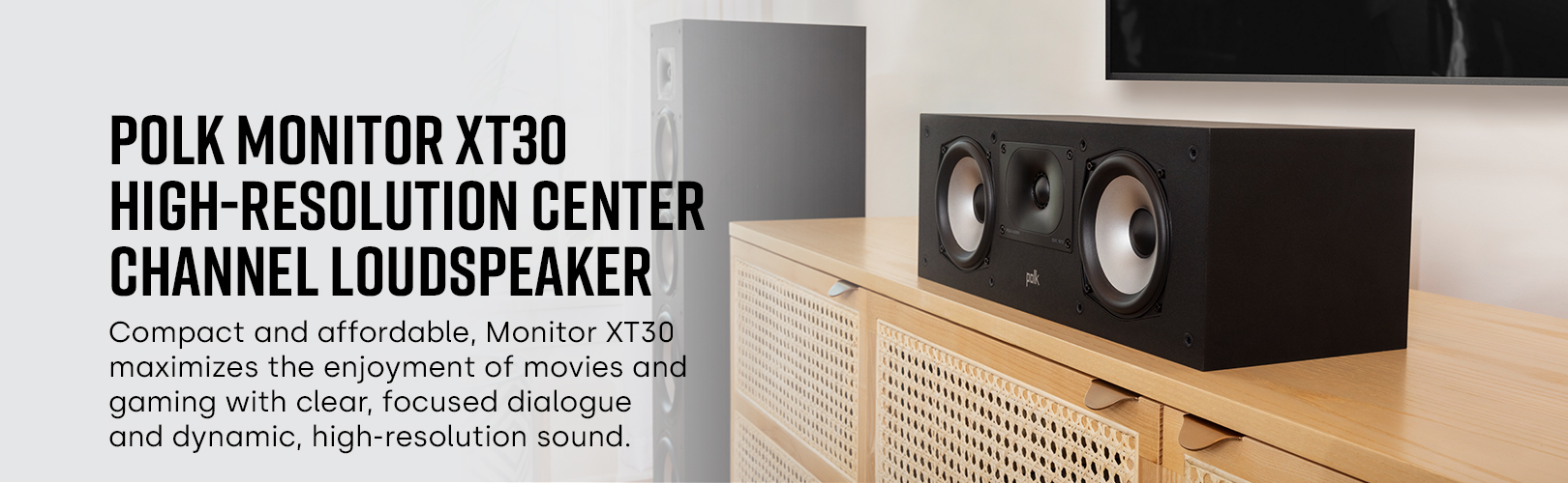 Polk Audio Speakers